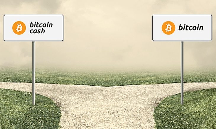 Bitcoin-vs-Bitcoin-Cash-730x438