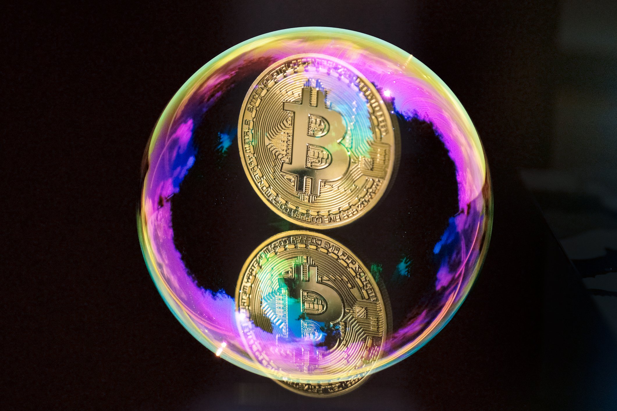bitbub