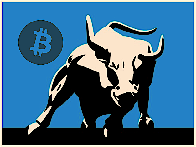 bullrun
